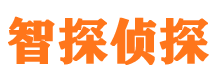 陆川婚外情调查取证